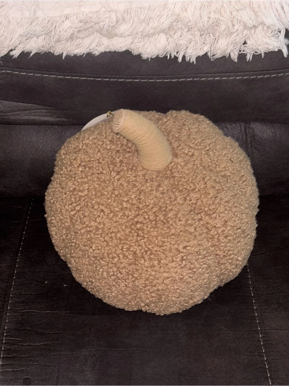 Target Brown Textured Pumpkin Holiday Pillow